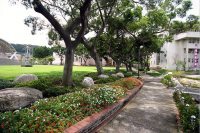 校園景像：樹蔭與走道